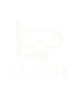 scuba diving